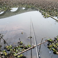 ����Ұ��������