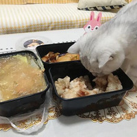 ���Ǽ��ж���è��