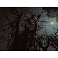 ����ɽ��|����֮ҹ