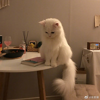 Сè�����������