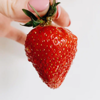 ݮӦԲݮ