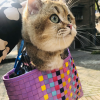 �����Ǳ�����װ�������ȥ����һ��
