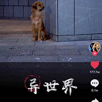�ҵ�49�뿪���ˣ��������û�����ò�ϰ�ߣ�