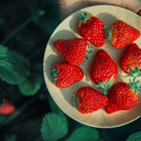 Ĳݮܳ90˻֪