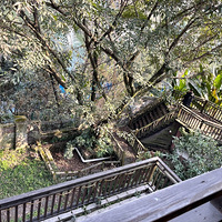 ���������ű��������ռǣ������ʩ�����뾫װ�����ʦ��