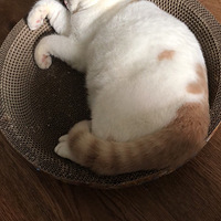 ��֮��һ��װ����