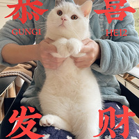 ˱Ϧ
