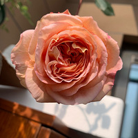 ����һ�ӣ��¼��ӣ�