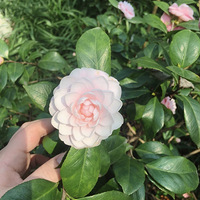 ��ů����