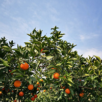 ���������ǿ�����ũ����ʲô�����-��2021�´��Ρ�