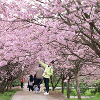 ���ճν���һ���ӣ��ʢ���ˡ�2021�ͻ��ǡ�