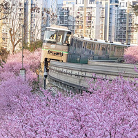 ��ͼ�صĻ��������ˣ���ĳ�����