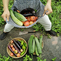 过了一年“向往的生活”，感觉不要太赞！   #2万块改造农民房#