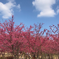 �����ã��ʺ��ͻ���2021�ͻ��ǡ�