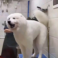 ��������Ů����