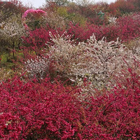 ������ӣ������ӣ��ŭ���ˡ�2021�ͻ��ǡ�