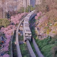 ��ͼ������ϵĻ��������������