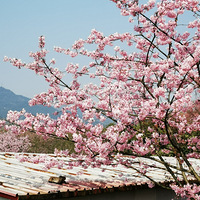 �������硫Ϊ������������̨ũ԰����2021�ͻ��ǡ�