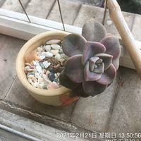����3���µĶ���û��ˮ�ˣ��������ˣ�������������һ��ˮ��
