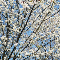 ��һ������ů����Լ�᡾2021�ͻ��ǡ�