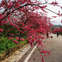 ���Ĵ�����ȥ�����ͻ���2021�ͻ��ǡ�