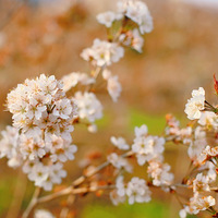 ̤�༾����ӣȥ����ѵ�ӣ�����������硾2021�ͻ��ǡ�