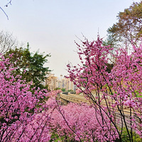 ��ĩ̽Ѱ��ͼ�����2���ߴ����г�+���ԡ�2021�ͻ��ǡ�