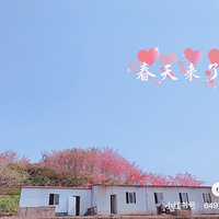 ���컨������ɽ������ʱ��2021�ͻ��ǡ�