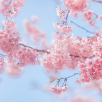 һ��������λ����ȶ��ܶ��ˡ�2021�ͻ��ǡ�