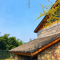 ��������,��ɽ��ȥҰ