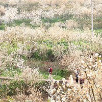 2021��������ʤ��ӣ�һ�ʢ���ˡ�2021�ͻ��Ρ�