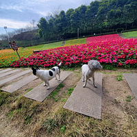 ȫ�Ҵ����������嶫����һ���߱鴺���ﶬ