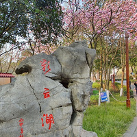 �������ƺ���2021�ͻ��ǡ�