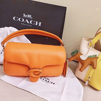 CoachˣҲУ˰