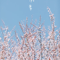 ̤࣬ͻμ2021̤༾