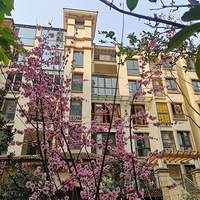 ��èһ��С��԰��80ƽ��С������ҵ�ˡ�2020-4���ϼ���Ҵ�����