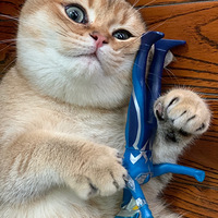 ��С��2:��������Ѿ�ʧ��