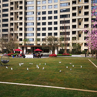 ���170ƽԾ�������ͥ˳���깤��2021-1���ϼ���Ҵ�����