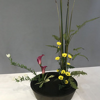 £仨