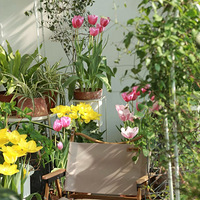 �����㣬С��̨�Ĵ��ջ��¡�������ơ�����̨������