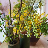 ��¼�Լ����������л��в��оơ�������ơ�����̨������