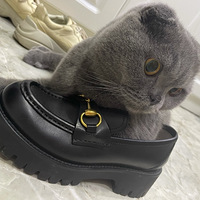 ��Ь�ӵ�è[666]