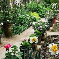 �����µĴ��쵽���𡾲�����ơ�����̨������