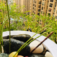 ���������������㡾������ơ�����̨������