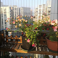 �����¼��ӵ���̨��������ơ�����̨������