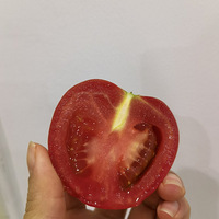 ˮȽϻ㣬клֲݡ