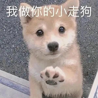 323ֵ走6ö39־ٽţ844.8