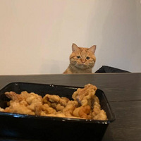 �������Ȳ�����