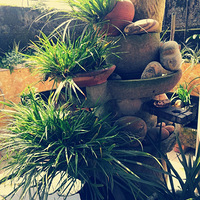 ���ۣ����ѣ��չޣ����졾������ơ�����̨������