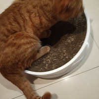 ���úͱ�����ճ��మ�¼�~